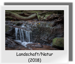 Landschaft/Natur  (2018)