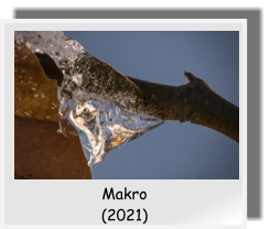 Makro  (2021)