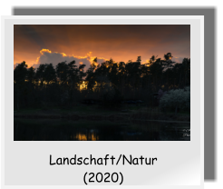 Landschaft/Natur  (2020)