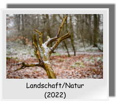 Landschaft/Natur  (2022)