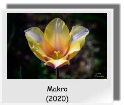 Makro  (2020)