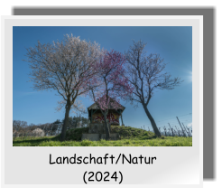 Landschaft/Natur  (2024)
